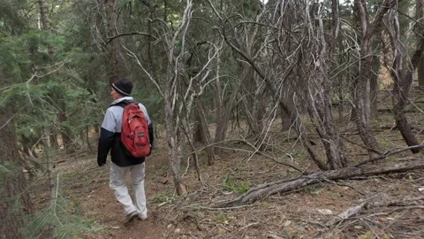 Hiking around a Mountian area Stock Footage 141906783