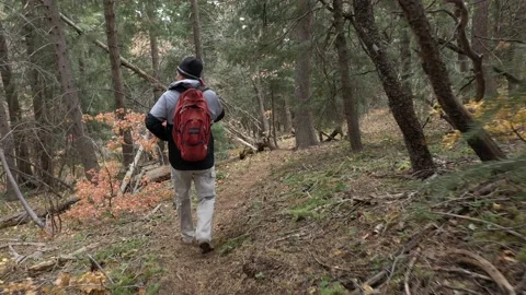 Hiking around a Mountian area Stock Footage 141920105