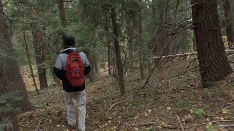 Hiking around a Mountian area Stock Footage 141923098