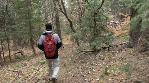 Hiking around a Mountian area Stock Footage 141926538