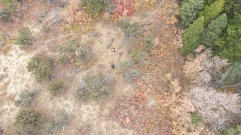 Hiking around a Mountian area Stock Footage 141927723