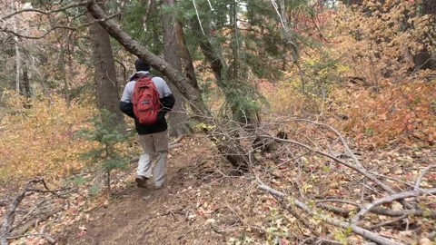 Hiking around a Mountian area Stock Footage 141930268