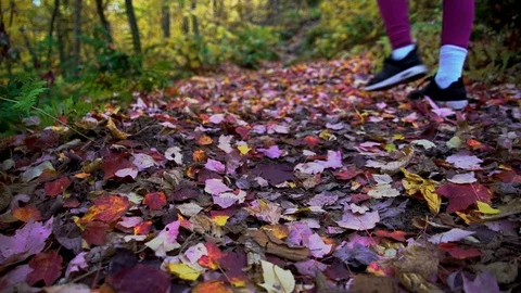 Hiking in autumn 動画素材 118462900