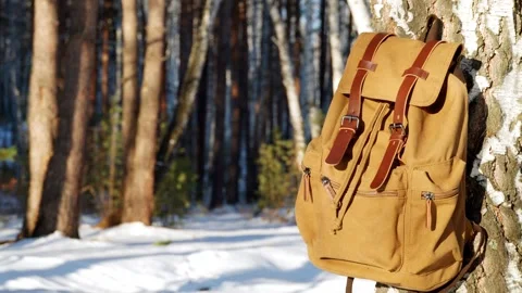 A hiking backpack is hanging on a tree in a winter forest. Healthy lifestyle. Stock Footage 298822198