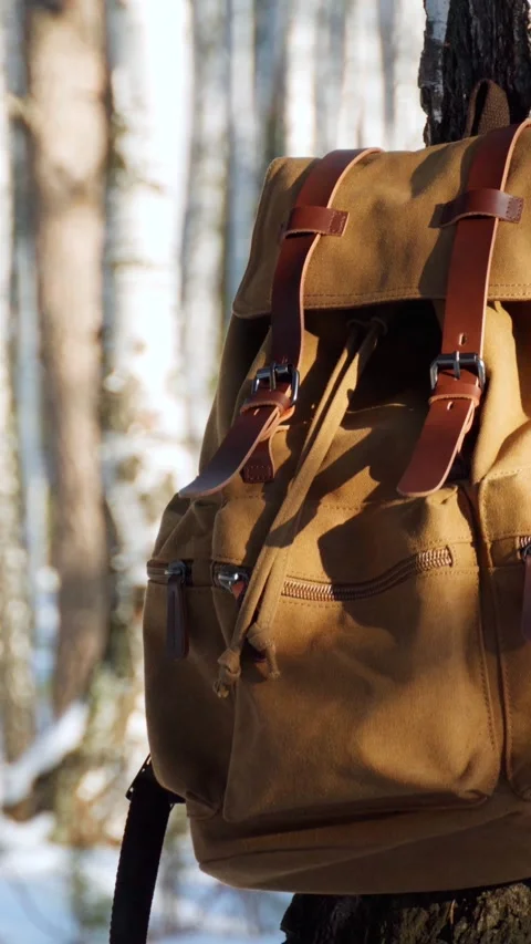 A hiking backpack is hanging on a tree in a winter forest. Hiking and hiking. Stock Footage 299975530