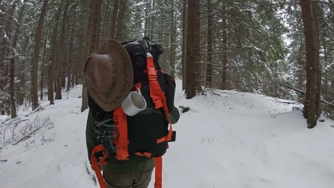 Hiking backpacker in the snowy forest path Stock Footage 99907365