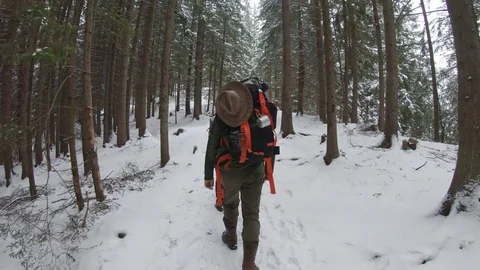 Hiking backpacker in the snowy forest path Stock Footage 99907598