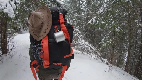 Hiking backpacker in the snowy forest path Stock Footage 99907696