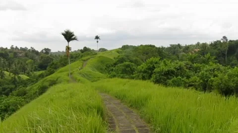 Hiking in Bali 1241 Stock Footage 42867824