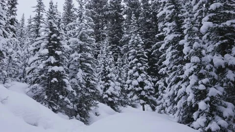 Hiking In Banff National Park In Winter ... | Stock Video | Pond5