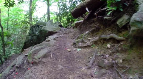 Hiking the Benton Falls Trail in Ocoee, Tennessee USA Stock-Footage 45209615