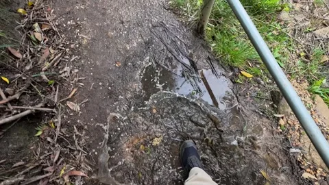 Hiking Boot Stepping into Muddy Puddle on Trail Stock Footage 341933037