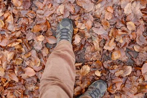 Hiking boots on beech leaf ground Stock Photos