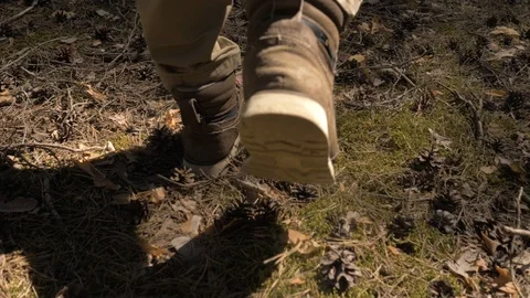Hiking boots close-up,a man walking through a pine forest. The camera shoots Stock Footage 108245809