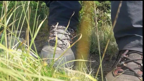 Hiking boots Video stock 93806467