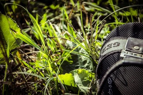 Hiking boots in the grass. Selective focus. Toned. Stock Photos