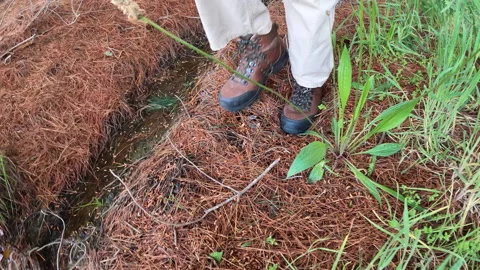 Hiking boots by a stream Stock Footage 142101730