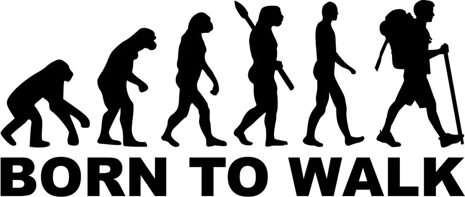 Hiking Born to walk Evolution 스톡 일러스트