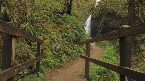 Hiking bridge path towards waterfall in background in lush green forest Vidéo 107124789