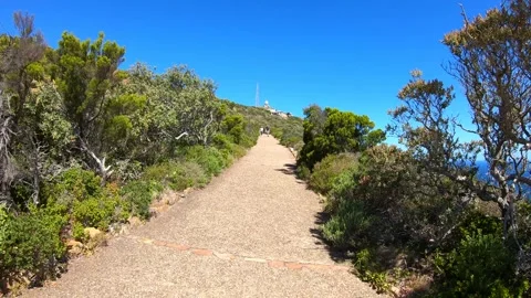 Hiking to Cape Point Lighthouse Stock Footage 312531299