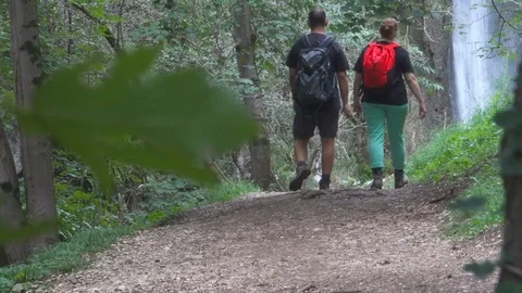 Hiking Couple Exploring Forest and Waterfall Stock Footage 84511407