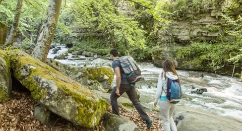 Hiking Couple Exploring Forest Backpackers Travel River Nature Footage Trekking Stock Footage