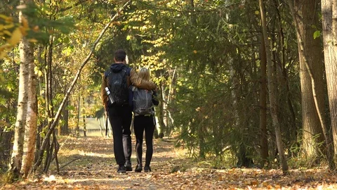 A hiking couple walks down a path through a forest on a sunny day - rear view Video stock 109435092