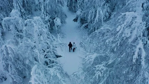 Hiking couple walks through deep snow in the winter nordic forest aerial view Stock Footage 123064957
