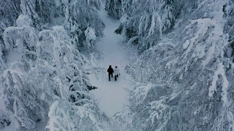Hiking couple walks through deep snow in the winter nordic forest aerial view Stock Footage 123478729