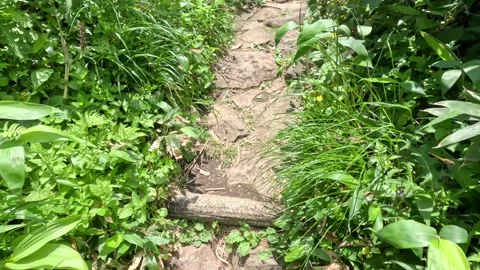 Hiking course of soil and grass Stock Footage 246669740
