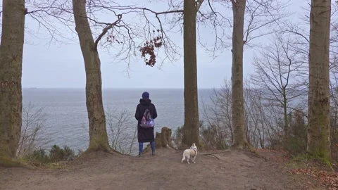 Hiking with a dog Stock Footage 153117532