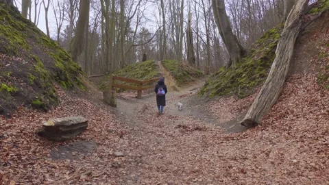 Hiking with a dog Stock Footage 153117540
