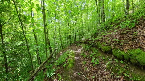 Hiking Down Switchback on the Lakeshore Trail 스톡 동영상 327020969