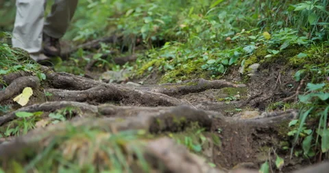 Hiking Downhill Stock Footage 169911271