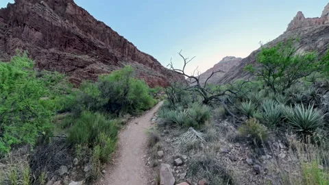 Hiking in Early Morning Light Through the Grand Canyon Video stock 335658997