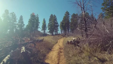 Hiking the East Mesa Trail to Observation Point in Zion National Park Stock Footage 332024966