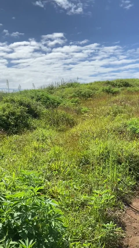 Hiking in Easter Island 스톡 동영상 342841366