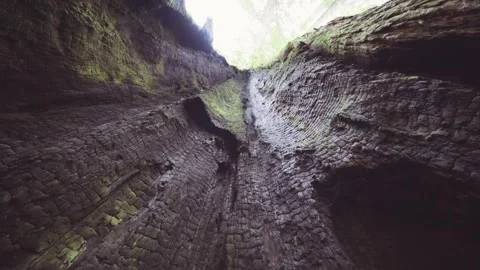 Hiking the Emerald Ridge and Tall Trees Trail in Redwood National Park Stock Footage 332417455