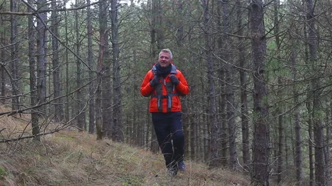 Hiking at evergreen tree forest Stock Footage 145429565