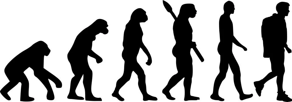 Hiking Evolution Stock Illustration