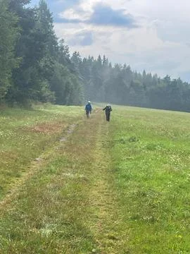 Hiking Field Forest Stock Photos