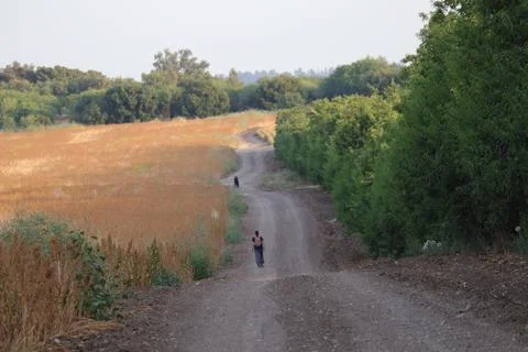 Hiking in fields of kibutz 写真素材