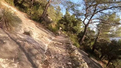 Hiking from the first person point of view (POV) up a narrow path Stock Footage 261744344