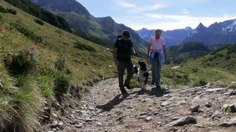 Hiking Stock Footage 8995992