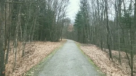 Hiking Stock Footage 105907082