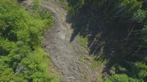 Hiking 動画素材 141938153