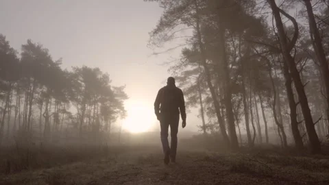 Hiking Stock Footage 236975270