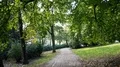 Hiking a footpath in city park hill below green beech trees in summer 4k 4k or 4k+ Resolution