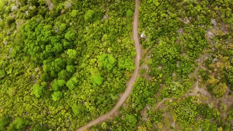 Hiking footpaths Stock Footage 237610043