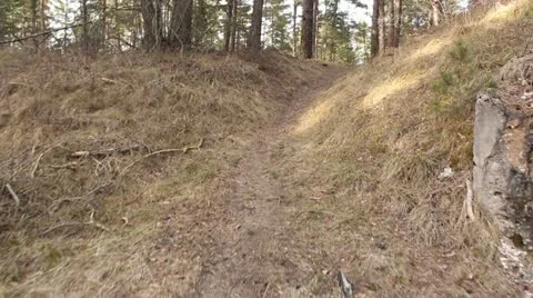 Hiking in forest Stock Footage 10883093